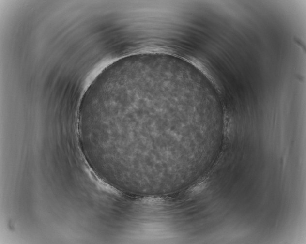 X0000102811094200809021153