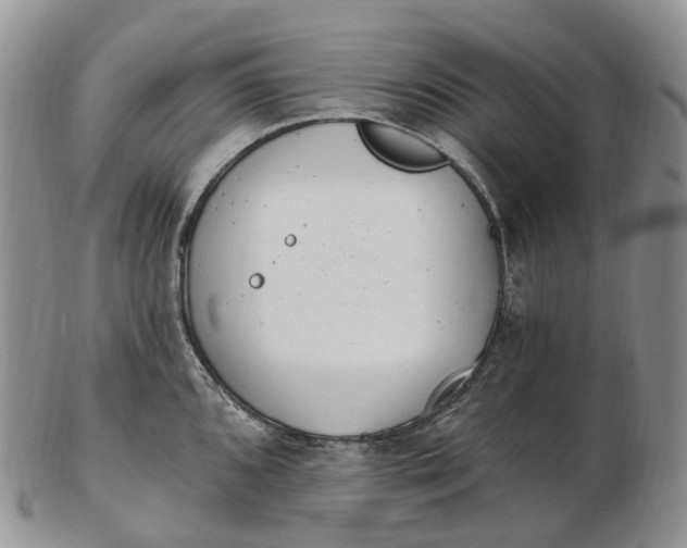 X0000102811096200809021153