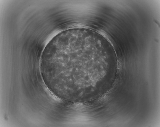 X0000102811098200809021153