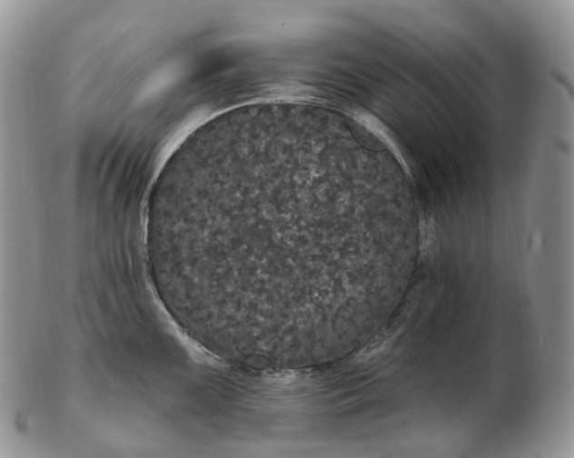 X0000102811099200809021153