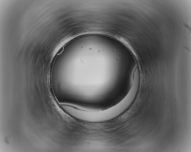 X0000102811101200809021153