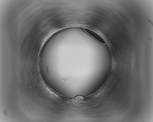 X0000102811102200809021153