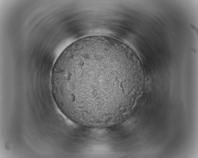 X0000102811103200809021153