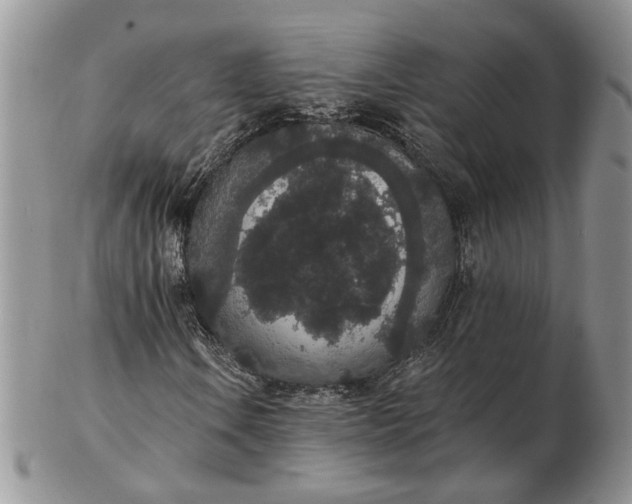 X0000102811106200809021152