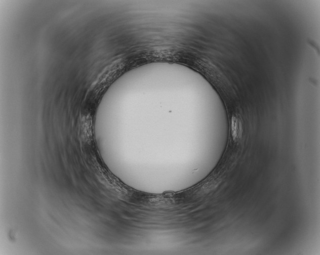 X0000102811107200809021152