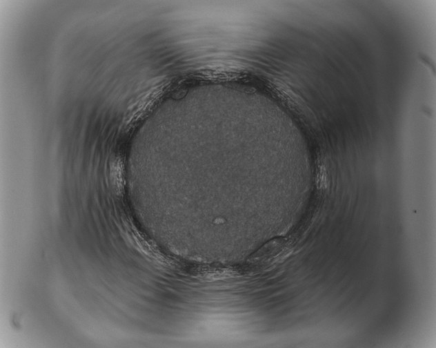 X0000102811108200809021152