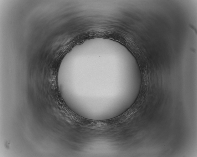 X0000102811109200809021153