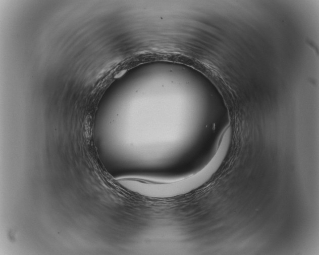 X0000102811110200809021153