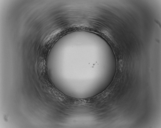 X0000102811111200809021153