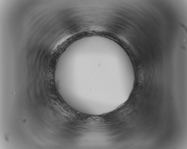 X0000102811112200809021153