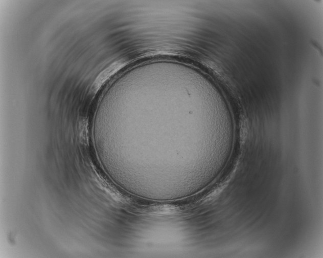 X0000102811113200809021153