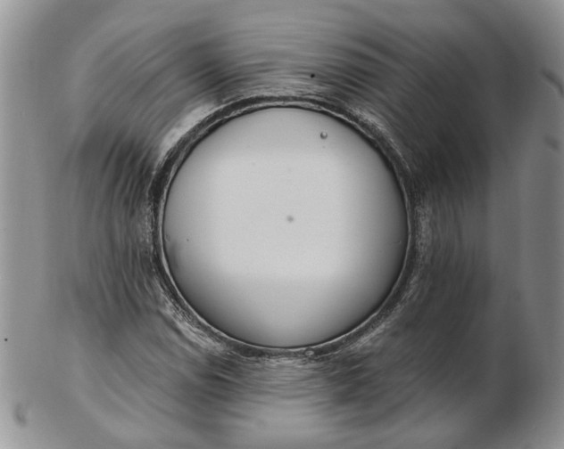 X0000102811114200809021153