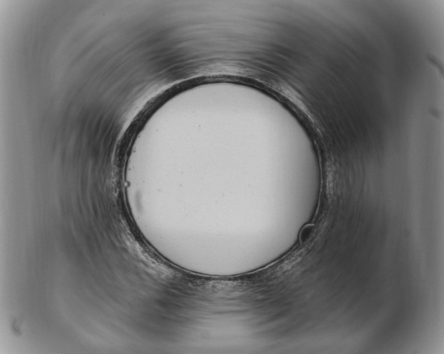 X0000102811116200809021153