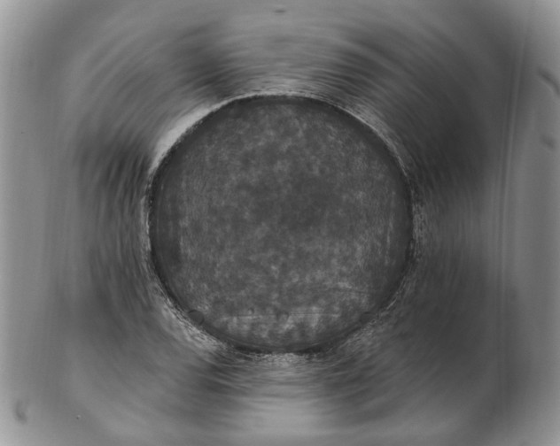 X0000102811120200809021153