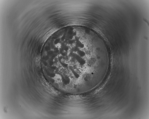 X0000102811121200809021153