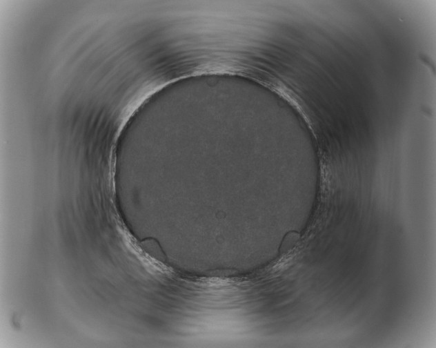 X0000102811124200809021153