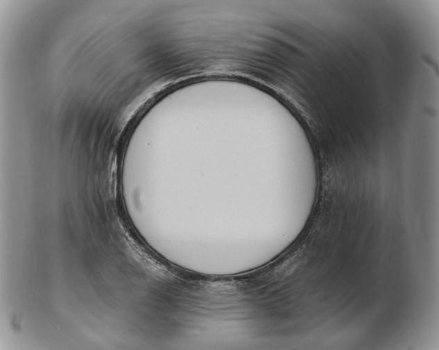 X0000102811126200809021153