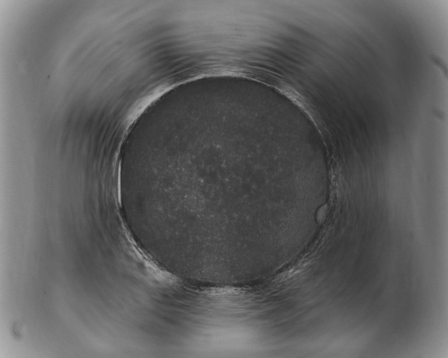 X0000102811127200809021153