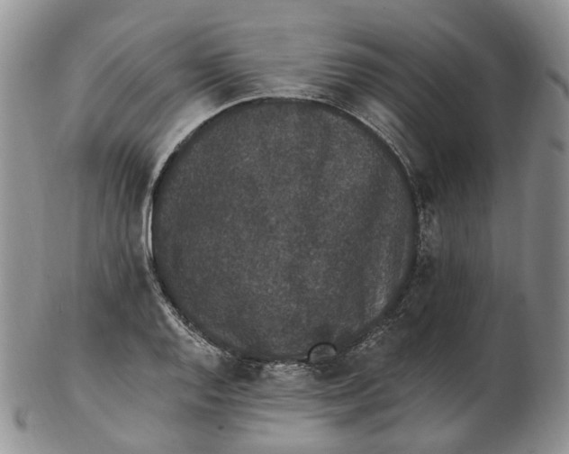 X0000102811128200809021153