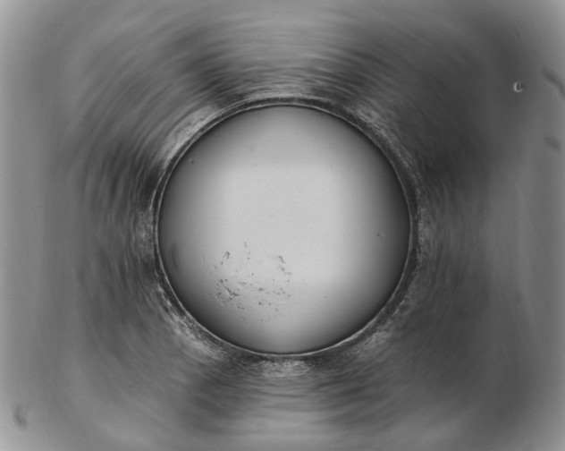 X0000102811129200809021153