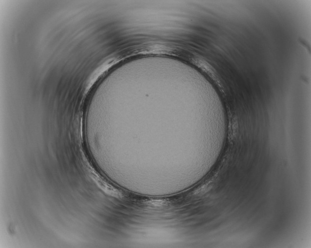 X0000102811130200809021153