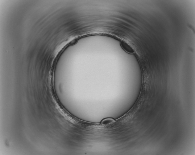 X0000102811134200809021153