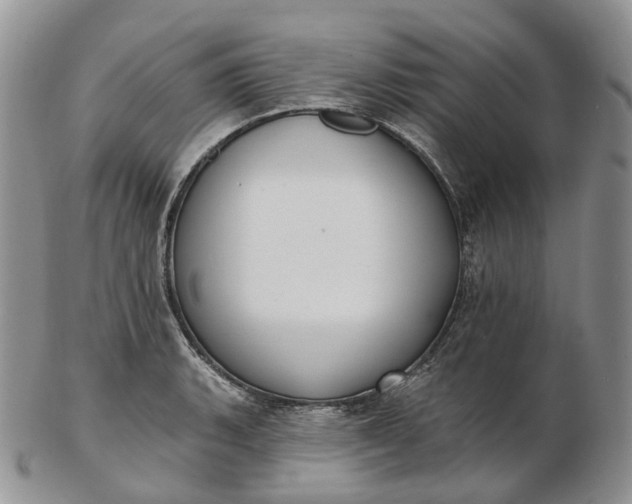 X0000102811135200809021153