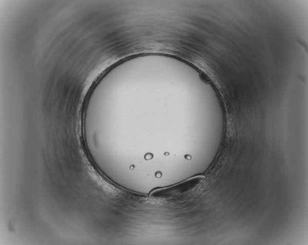 X0000102811136200809021153