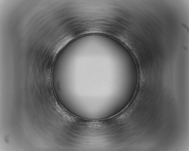 X0000102811137200809021153