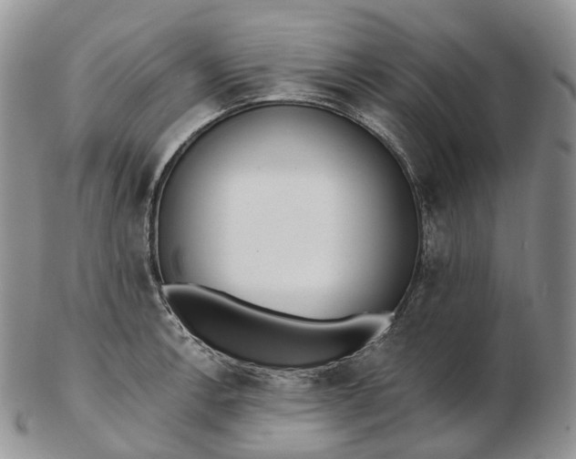 X0000102811138200809021153