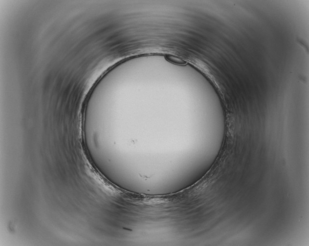 X0000102811140200809021153