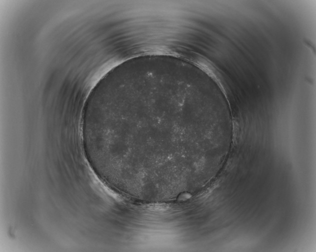 X0000102811141200809021153