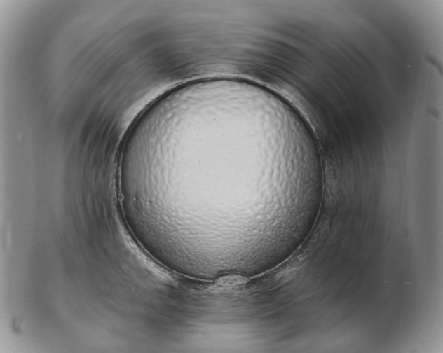 X0000102811142200809021153