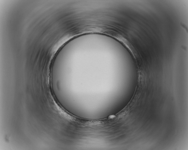 X0000102811143200809021153