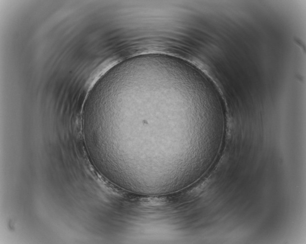 X0000102811145200809021153