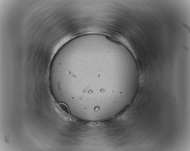 X0000102811146200809021153