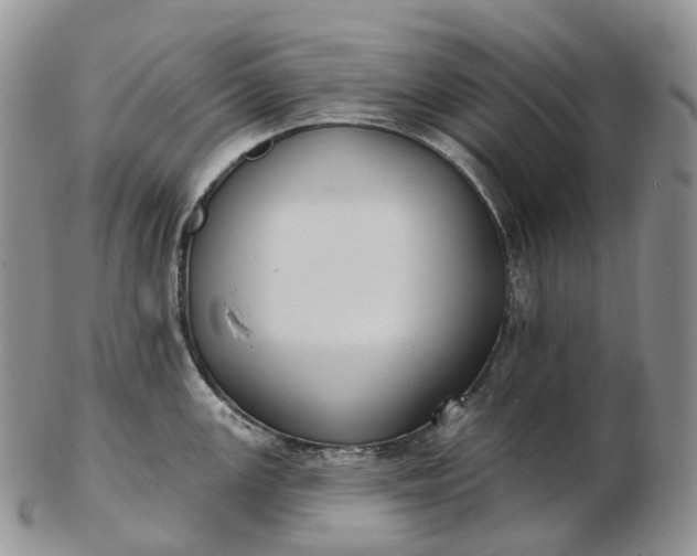 X0000102811147200809021153