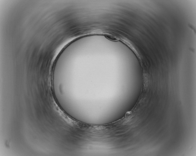 X0000102811148200809021153