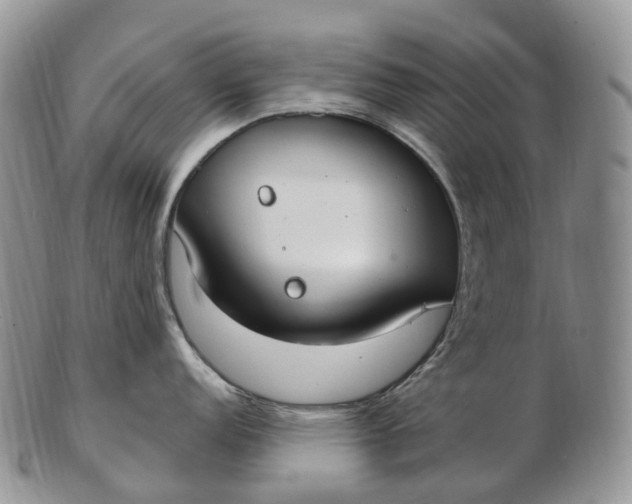 X0000102811152200809021153