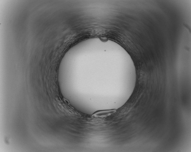 X0000102811153200809021152