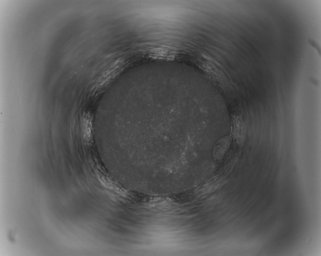 X0000102811154200809021152