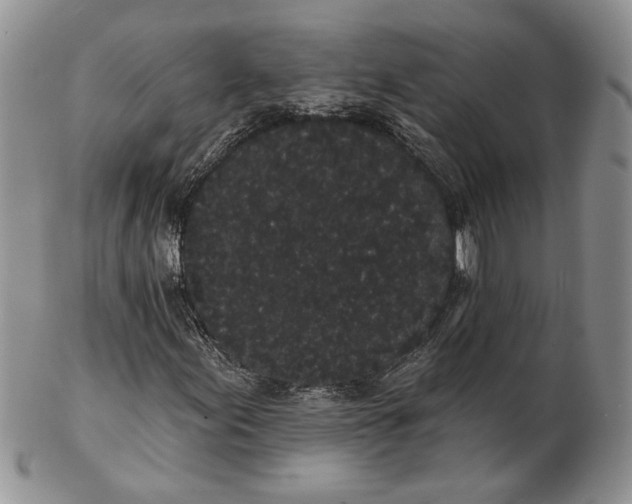 X0000102811155200809021152