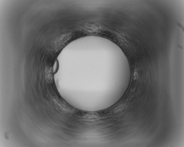 X0000102811156200809021152