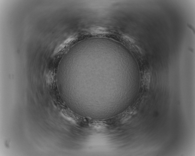 X0000102811157200809021152