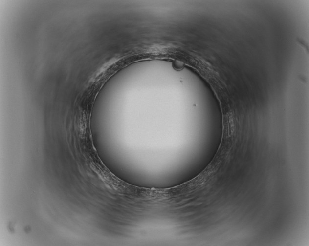 X0000102811158200809021152