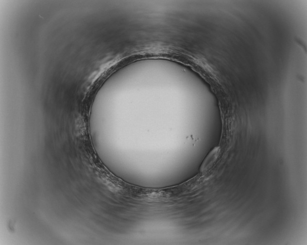 X0000102811160200809021152