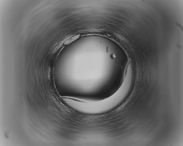 X0000102811161200809021152