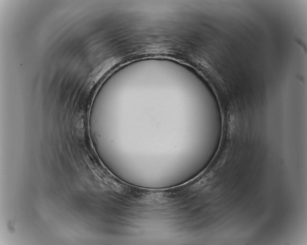 X0000102811162200809021152