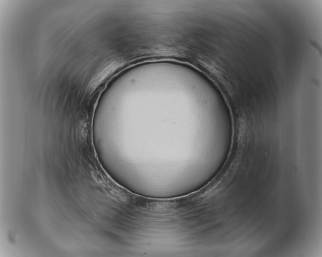 X0000102811163200809021152