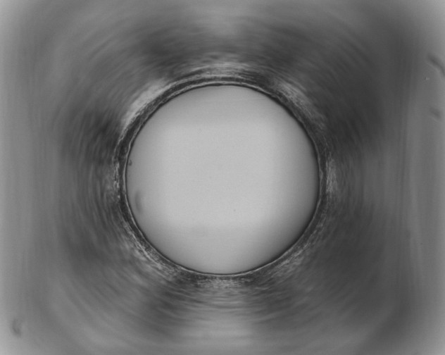 X0000102811164200809021152